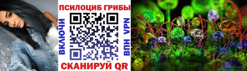 мориарти как зайти  ОМГ ОМГ как войти  Аргун  Галлюциногенные грибы прущие грибы 